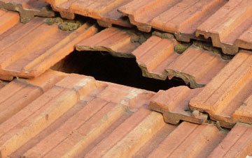 roof repair Stubbs Green, Norfolk